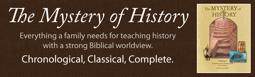 The Mystery of History
