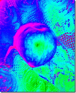 Apple Neon