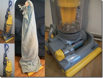 Max, Our Beloved Vacuum Cleaner