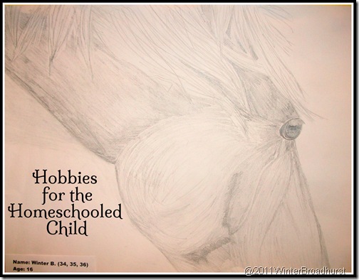 Hobbies for the Homeschooled Child @SuzBroadhurst @BrightIdeasTeam Hobbies for the Homeschooled Child @SuzBroadhurst @BrightIdeasTeam