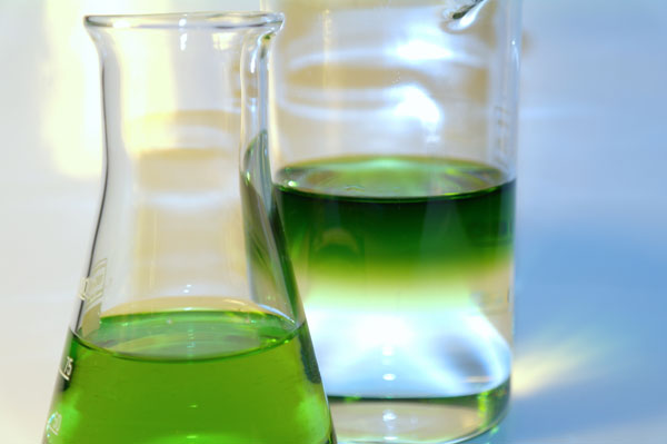The Great Science Experiment @jasminejlucero