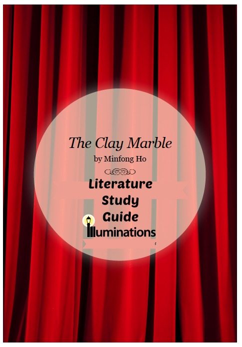 The Clay Marble Literature Study Guide