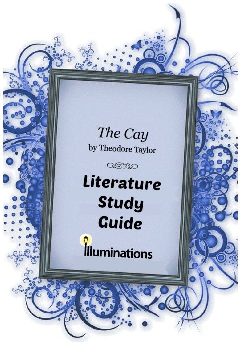 The Cay Literature Study Guide